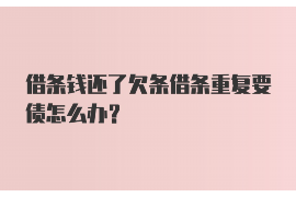 温县为什么选择专业追讨公司来处理您的债务纠纷？